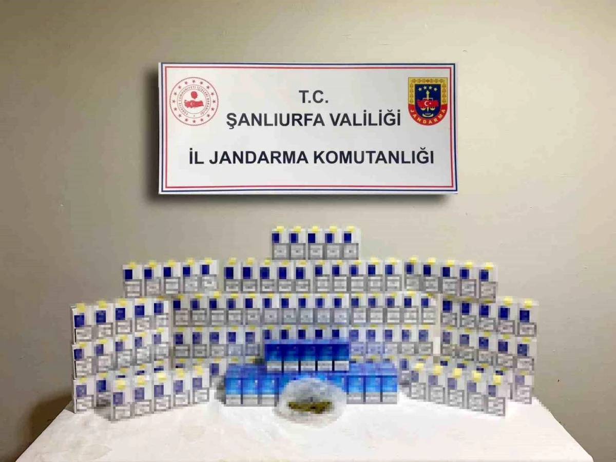 Şanlıurfa\'da Jandarma Operasyonunda 3 Şüpheli Yakalandı, Bin 240 Paket Kaçak Sigara Ele Geçirildi