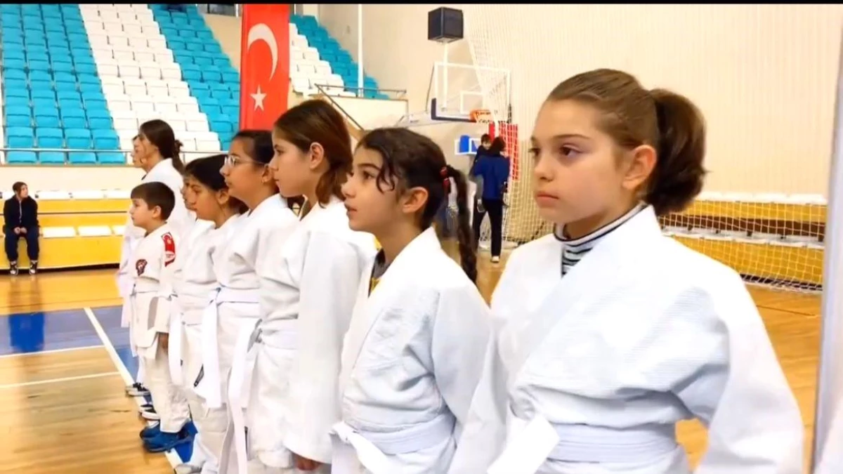 Sinop\'ta \'Mutlu Şehirde Polisimle Güvendeyim Projesi\' kapsamında öğrencilere judo ve güreş kursu veriliyor