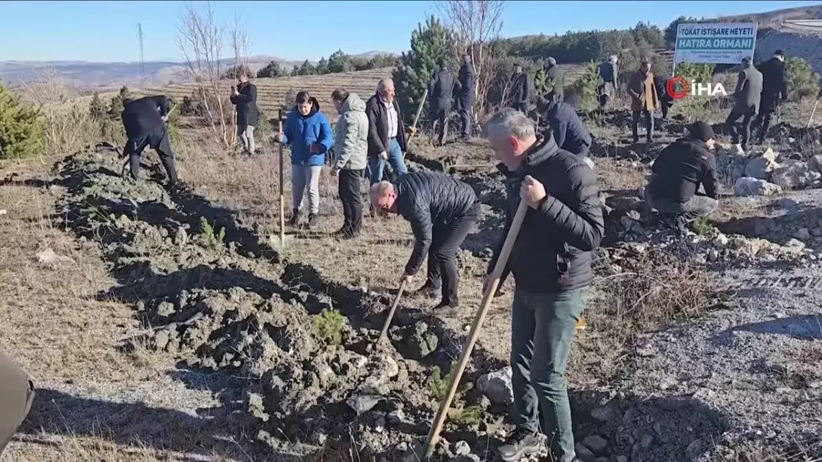 Soğuk havaya aldırmayan Tokatlılar fidan dikmek için birbirleriyle yarıştı