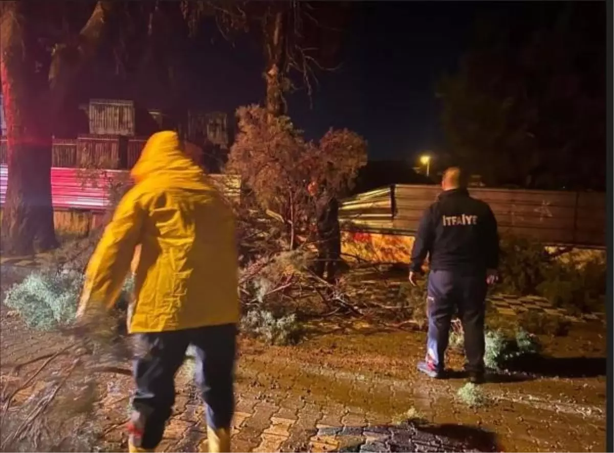 Çanakkale\'de fırtına nedeniyle yol kenarındaki ağaç devrildi