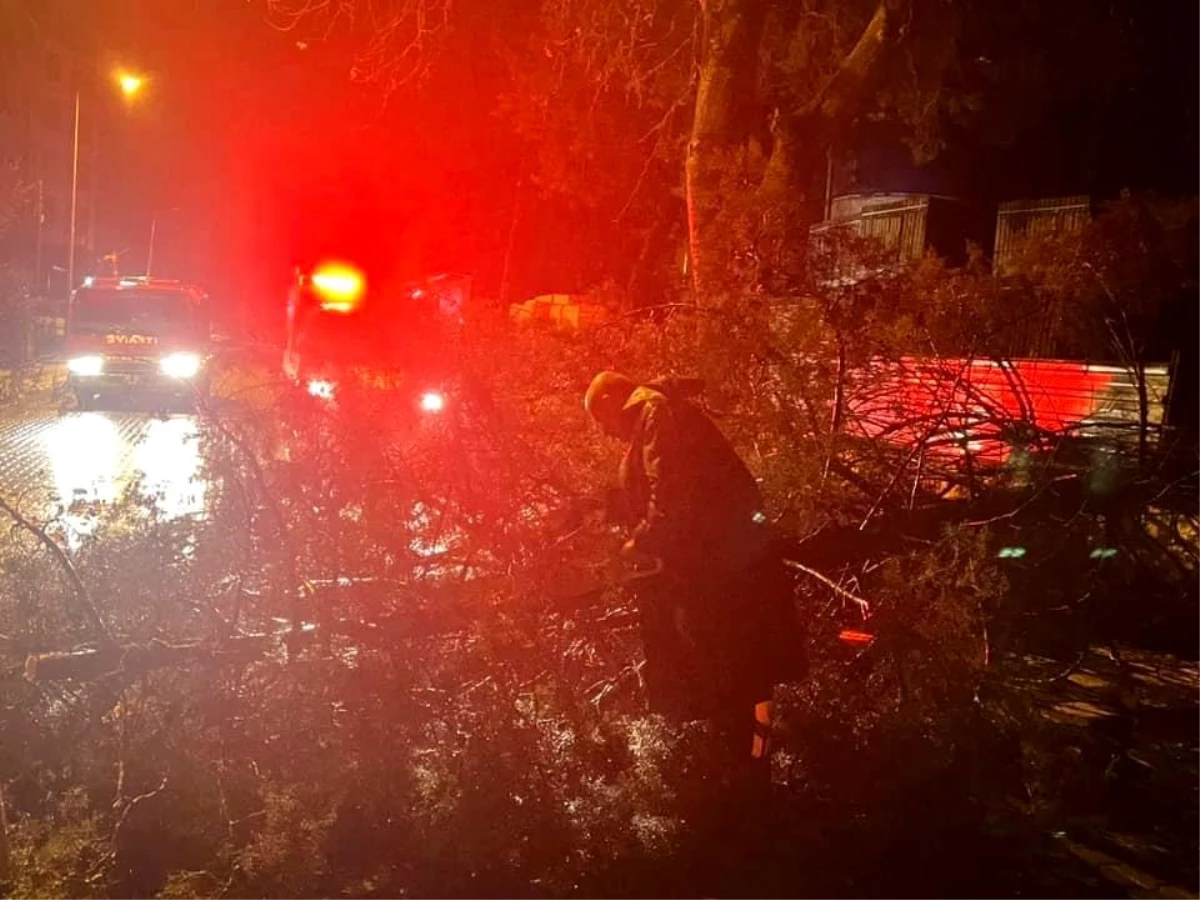 Çanakkale Ezine\'de Fırtına ve Sağanak Yağış Sonucu Ağaç Yola Devrildi