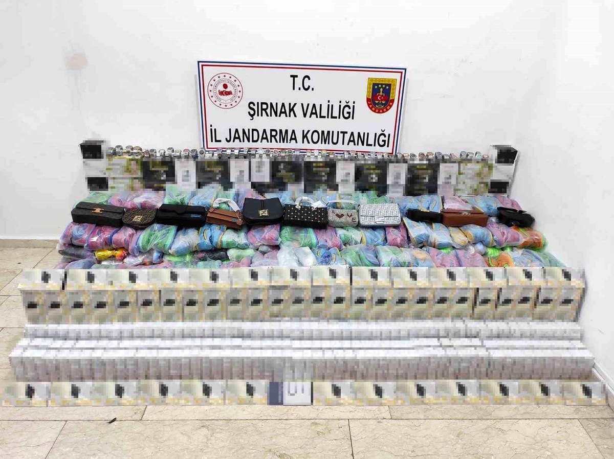 Cizre\'de yapılan adli aramada 2 milyon 200 bin TL değerinde kaçak malzeme ele geçirildi