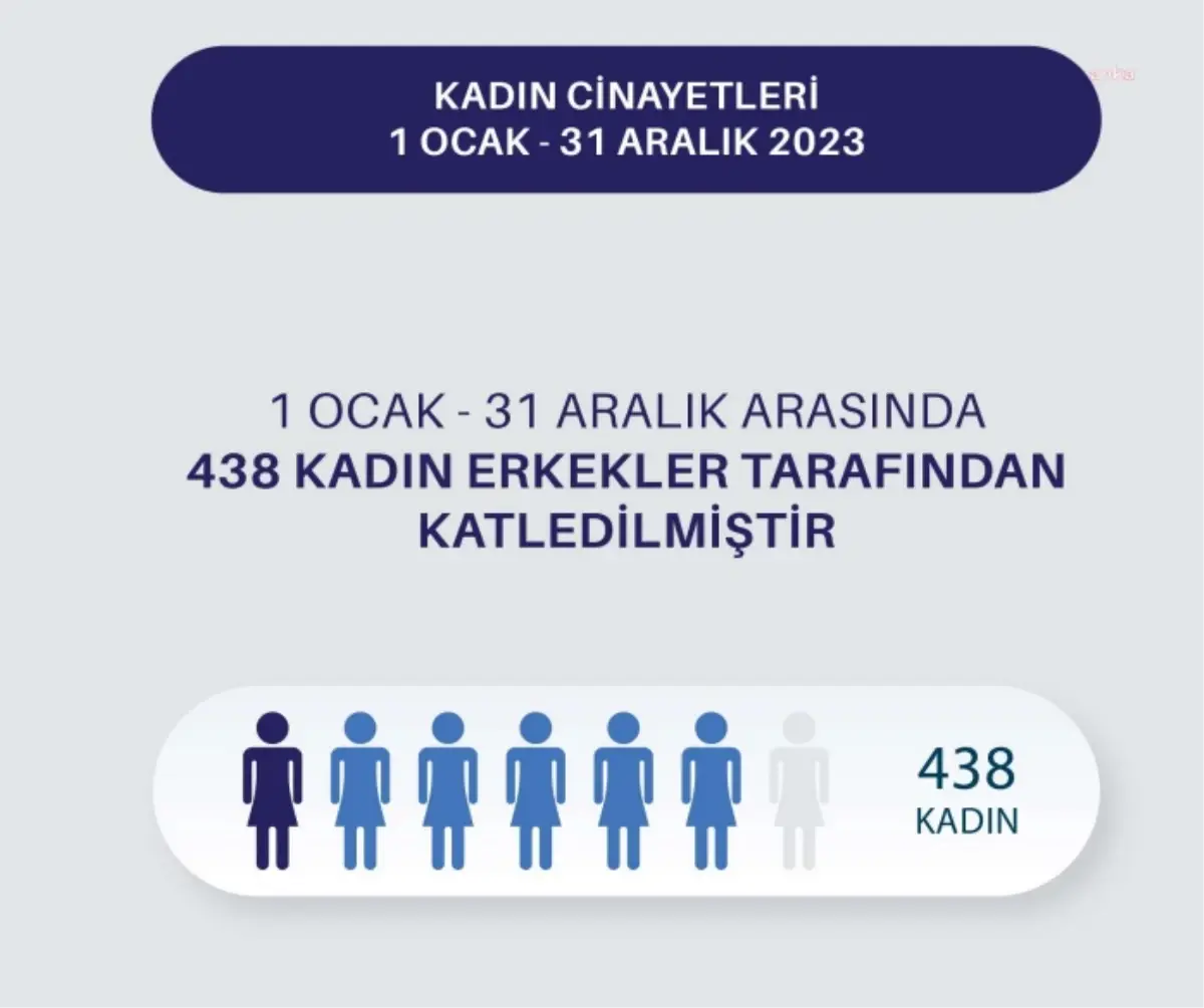 2023 Yılında 438 Kadın Katledildi