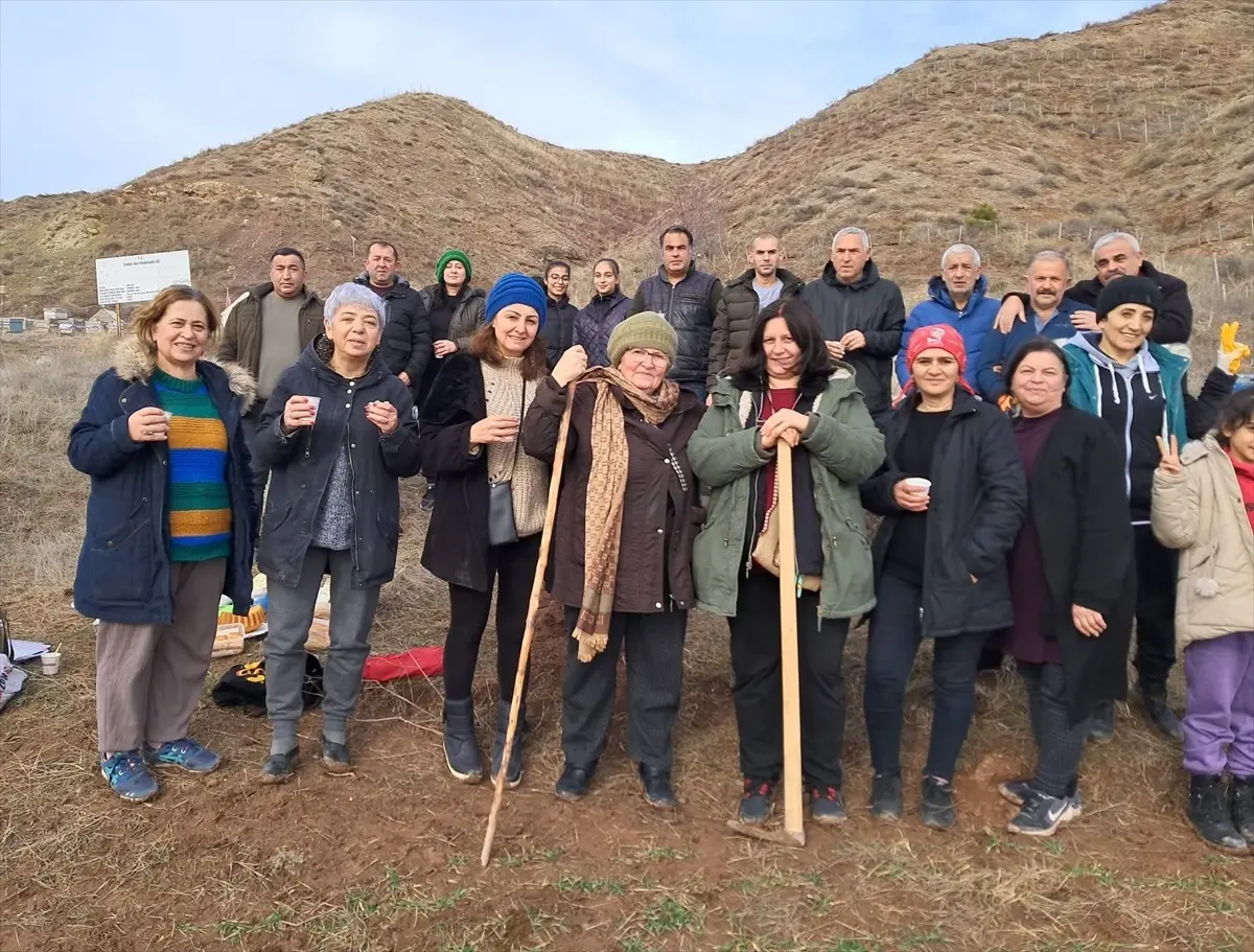 Zara\'da 10 Bin Tatlı Badem Tohumu Ekimi Gerçekleştirildi