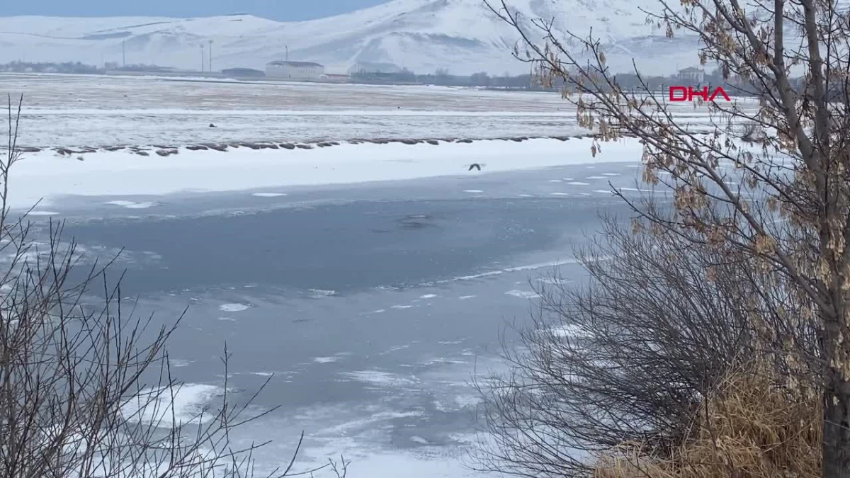 Ardahan\'da Kura Nehri\'nin yüzeyi buzla kaplandı
