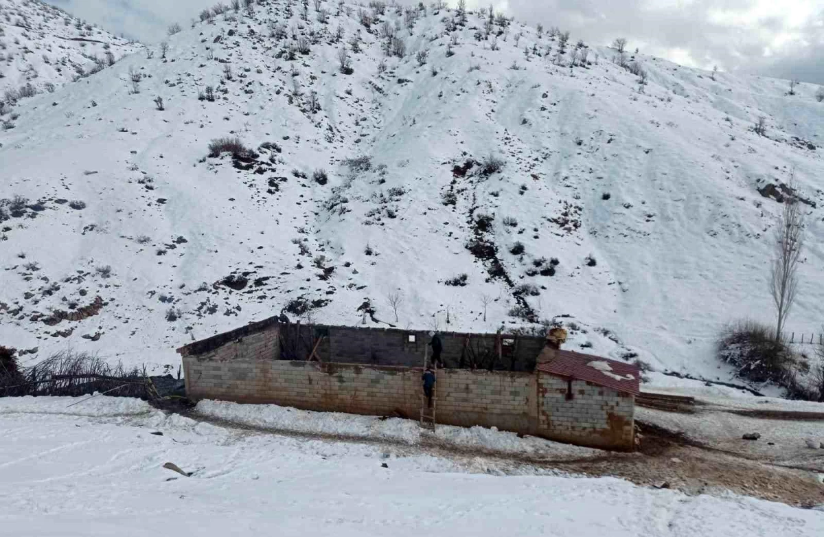 Bitlis\'te çıkan yangında 180 küçükbaş hayvan telef oldu