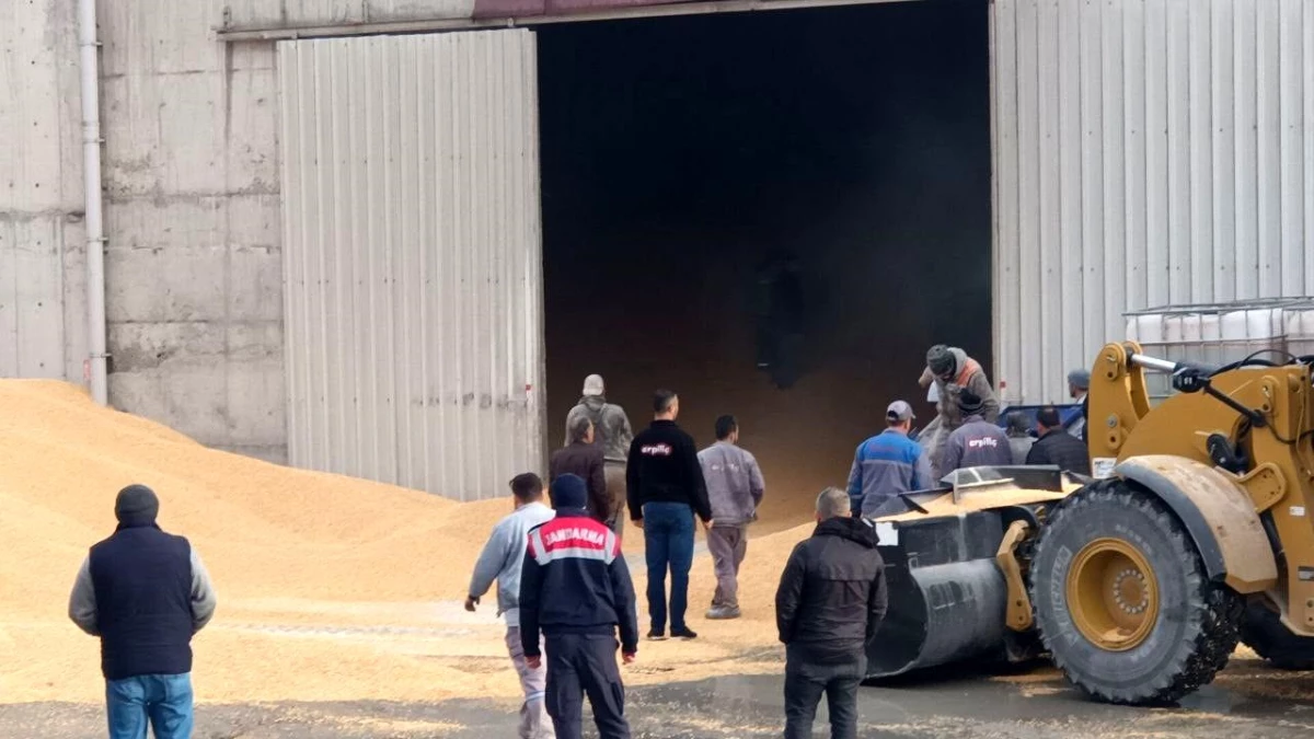 Bolu\'da Yem Fabrikasında Mısır Depo Kazası: İşçi Hayatını Kaybetti