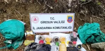 Giresun'da terör örgütünün kullandığı sığınak bulundu