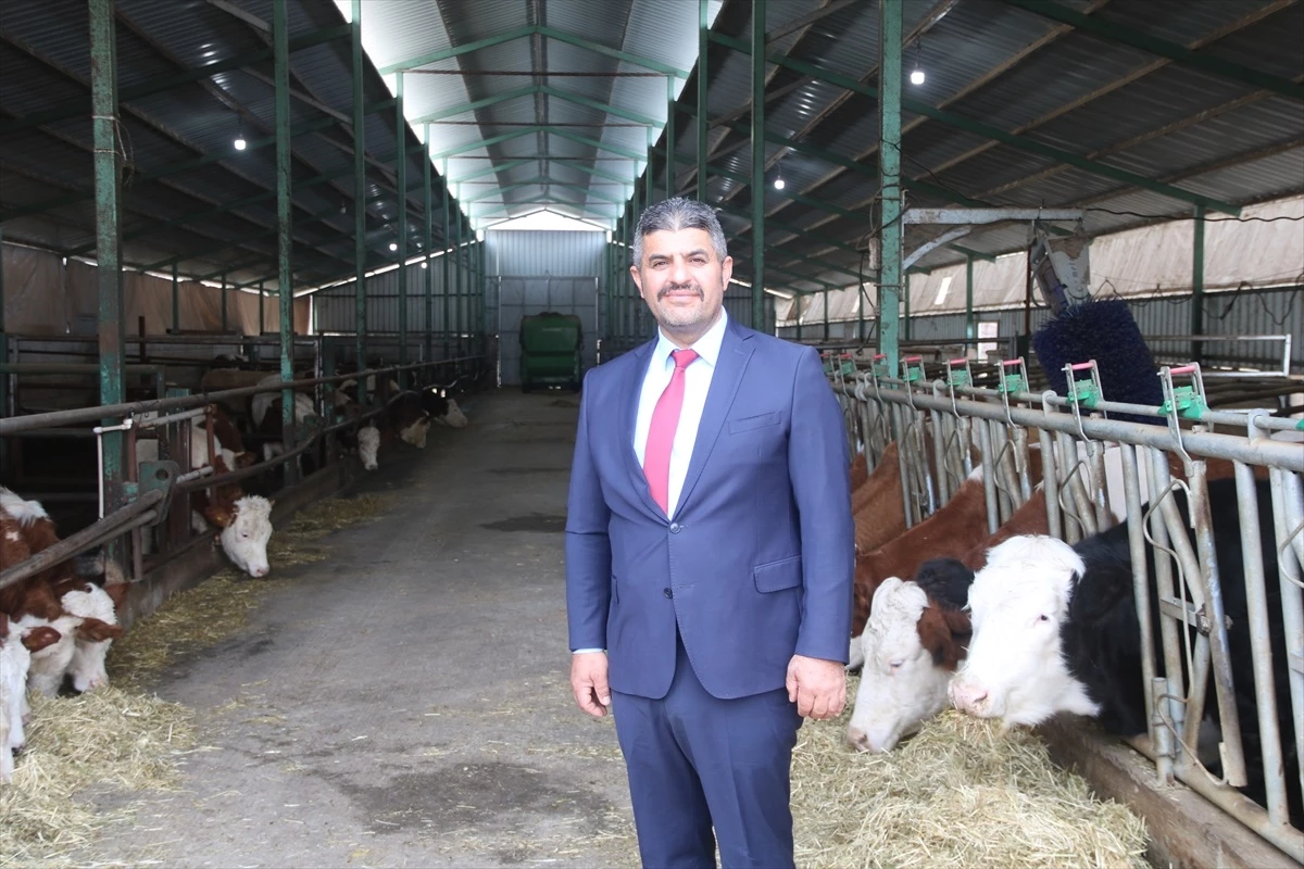 Malatya\'da depremden etkilenen üreticilere hayvan dağıtımı tamamlandı