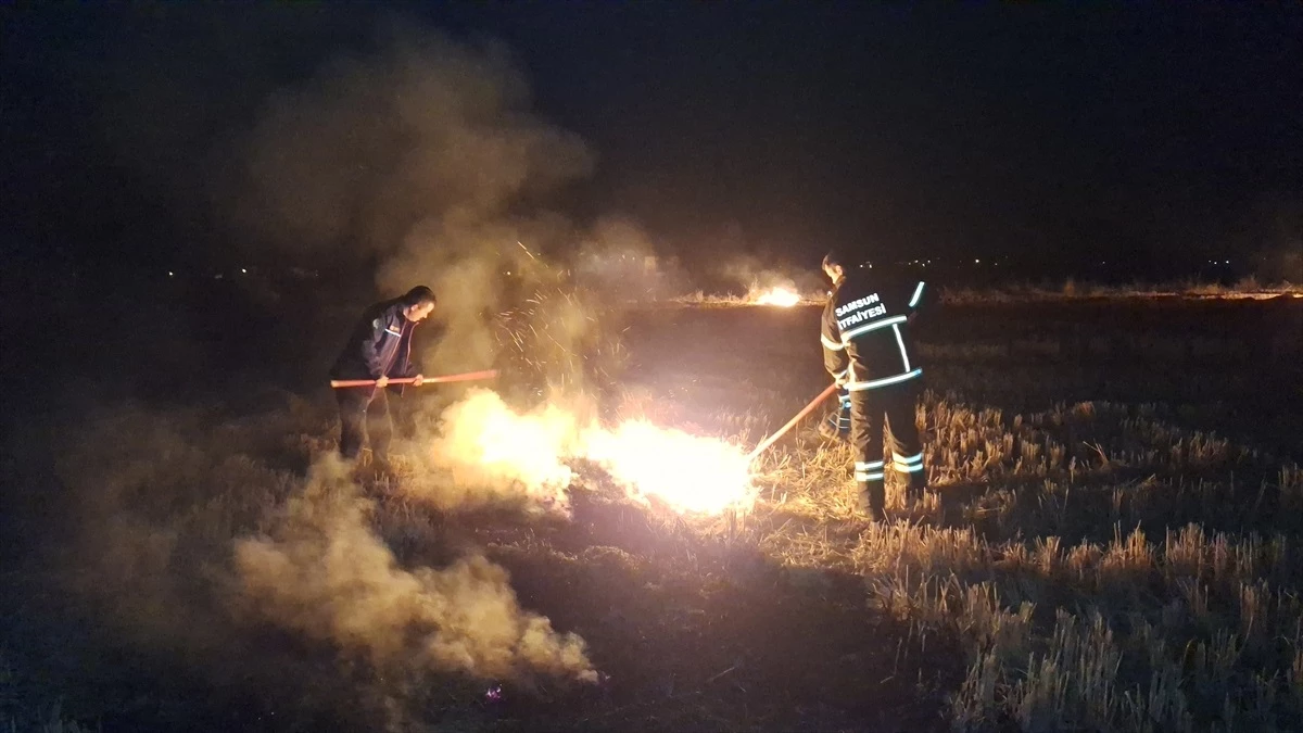 Samsun Bafra\'da çıkan yangında 40 hektar tarım arazisi zarar gördü