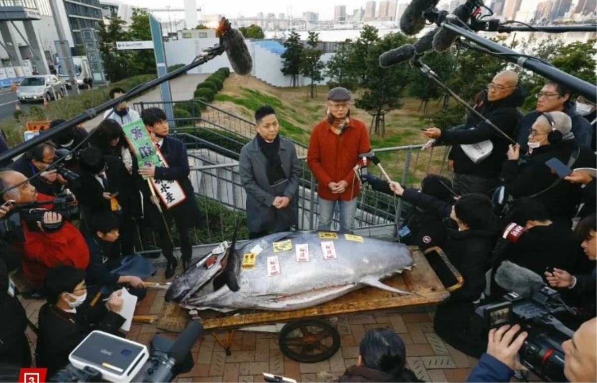 Tokyo\'da 227 kilo ağırlığındaki mavi yüzgeçli ton balığı 800.000 dolara satıldı