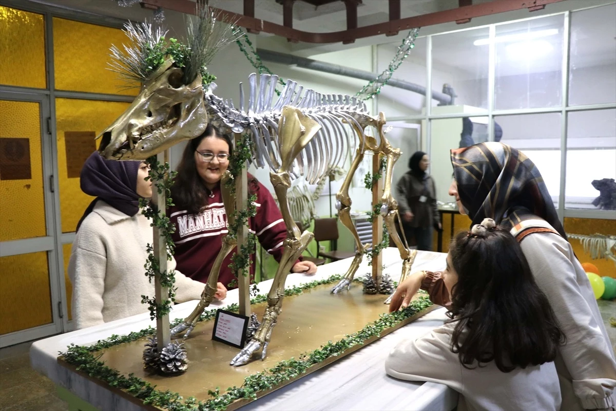 Fırat Üniversitesi öğrencileri hayvan kemiklerini iskelete dönüştürdü