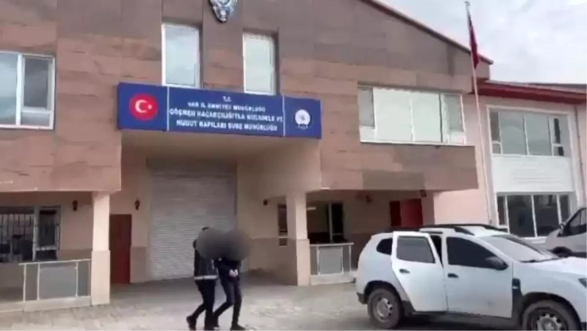 Van\'da göçmen kaçakçılığı ve insan ticareti operasyonu: 8 kişiden biri tutuklandı