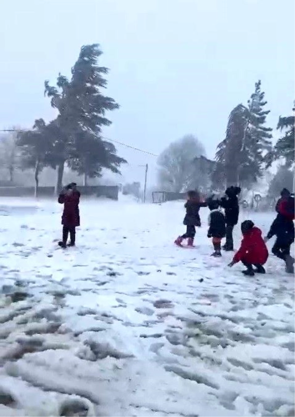Çanakkale\'de Kar Yağışı Nedeniyle Bazı İlçelerde Okullar Tatil Edildi