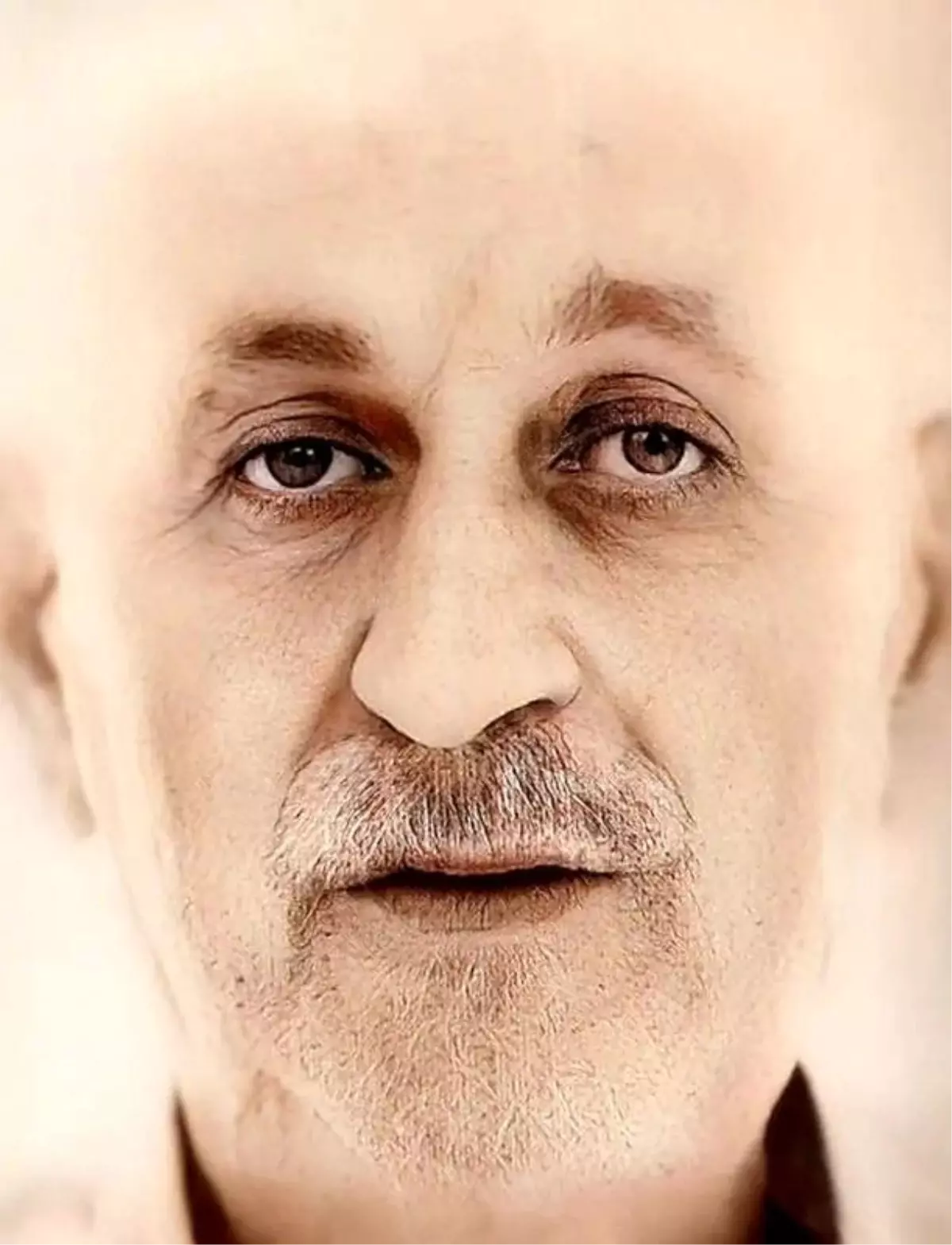 Samsun\'da budamak için çıktığı incir ağacından düşen yaşlı adam hayatını kaybetti