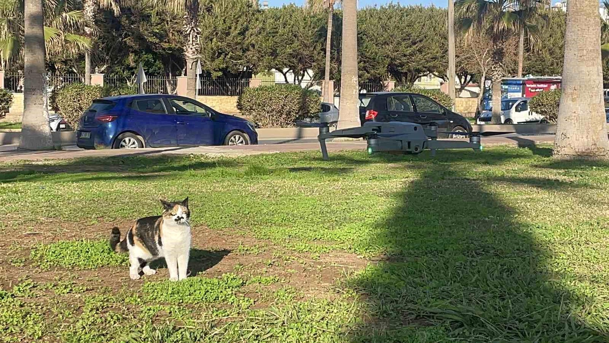 Mersin\'de kedinin uçuşa hazırlanan dron ile oyunu gülümsetti