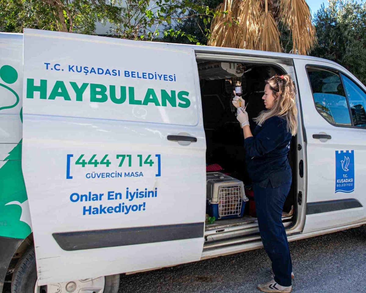 Kuşadası Belediyesi Haybulans Araçlarıyla 78 Bin 669 Can Dosta Müdahale Etti