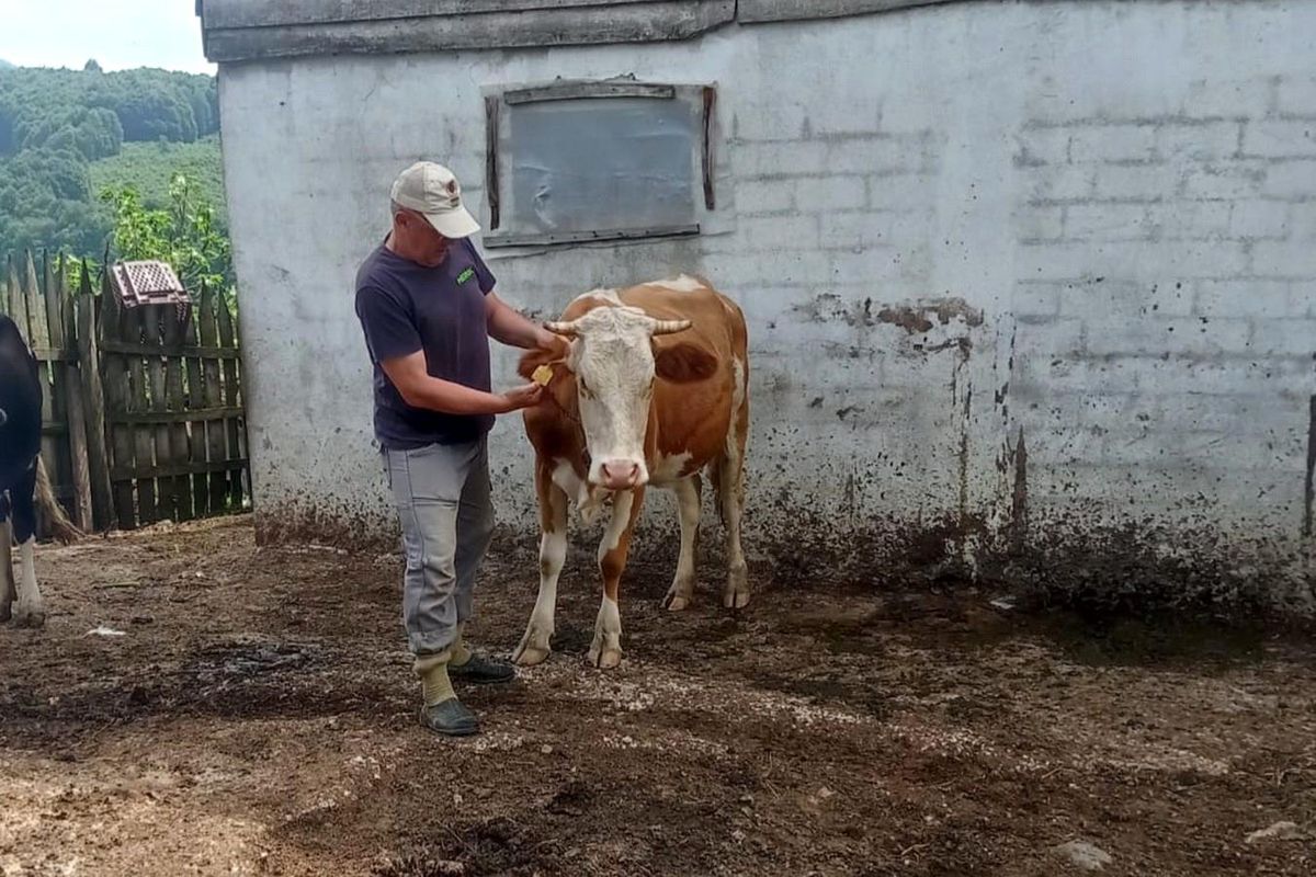 Orman köylülerine destek kredisi verildi