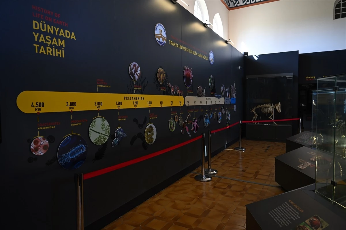 Trakya Üniversitesi Doğa Tarihi Müzesi, Öğrencilere Hem Ziyaret Hem Ders İmkanı Sunuyor