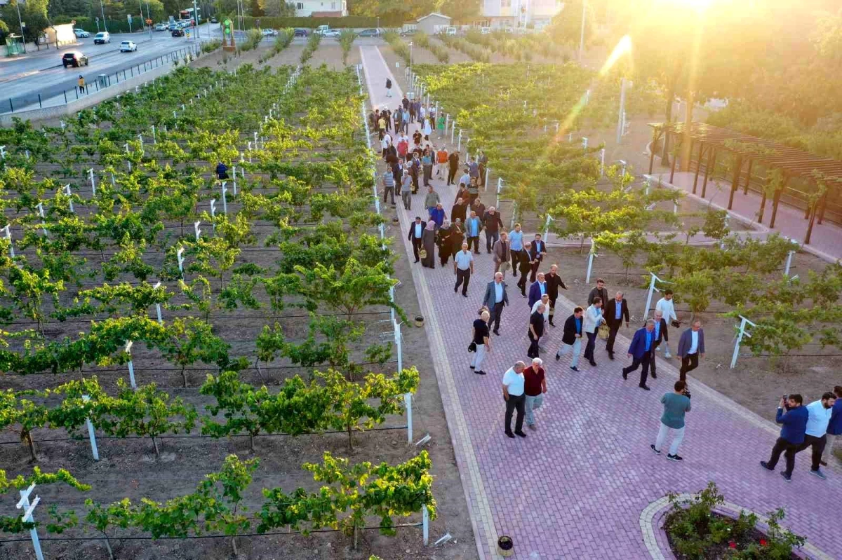 Konya\'nın Meram Bağı, 2023\'ün en çok tercih edilen mekanlarından biri oldu