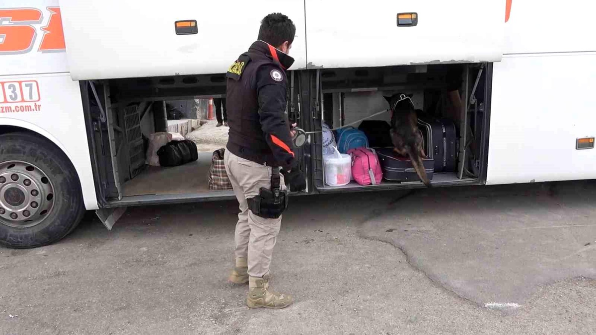 Kırıkkale\'de Narkotik Köpeği İle Yapılan Denetimde 60,5 Kilogram Skunk Ele Geçirildi
