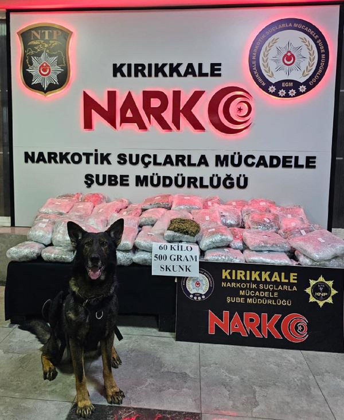 Kırıkkale'de TIR'ın dorsesinde 60,5 kilogram skunk ele geçirildi, 2 tutuklama