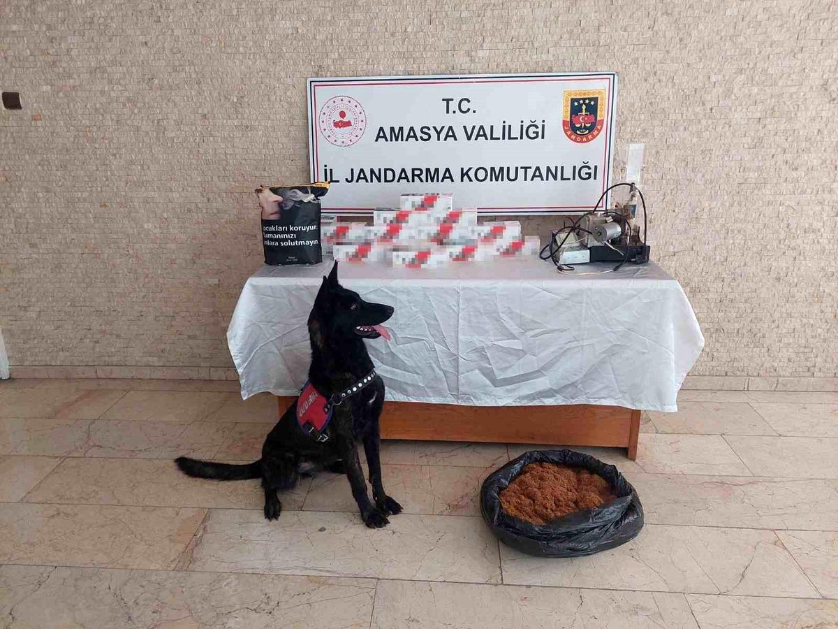 Amasya\'da Kaçak Makaron ve Tütün Operasyonu: 20 Bin Dal Makaron ve 16 Kilo Tütün Ele Geçirildi