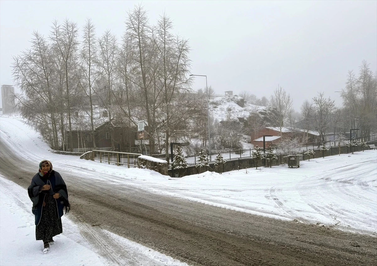 Ardahan ve Kars\'ta Buzlanma, Sis ve Kar Yağışı Etkili Oldu
