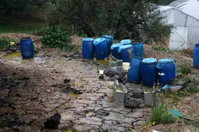 Hatay'da Zeytinyağı Fabrikasında Patlama: 50 Ton Zeytinyağı Araziye Yayıldı