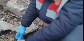 Gaziantep'te 'Çobanlar Çetesi' Operasyonu: 7 Şüpheli Gözaltına Alındı