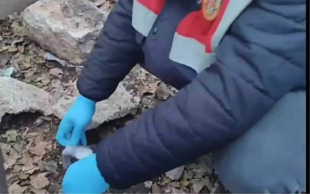 Gaziantep'te 'Çobanlar Çetesi' Operasyonu: 7 Şüpheli Gözaltına Alındı