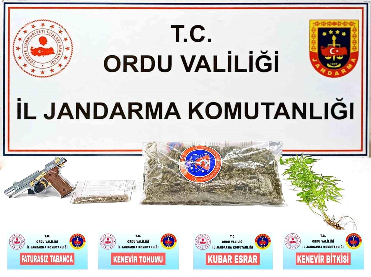 Ordu\'da uyuşturucu operasyonunda 1 şüpheli gözaltına alındı