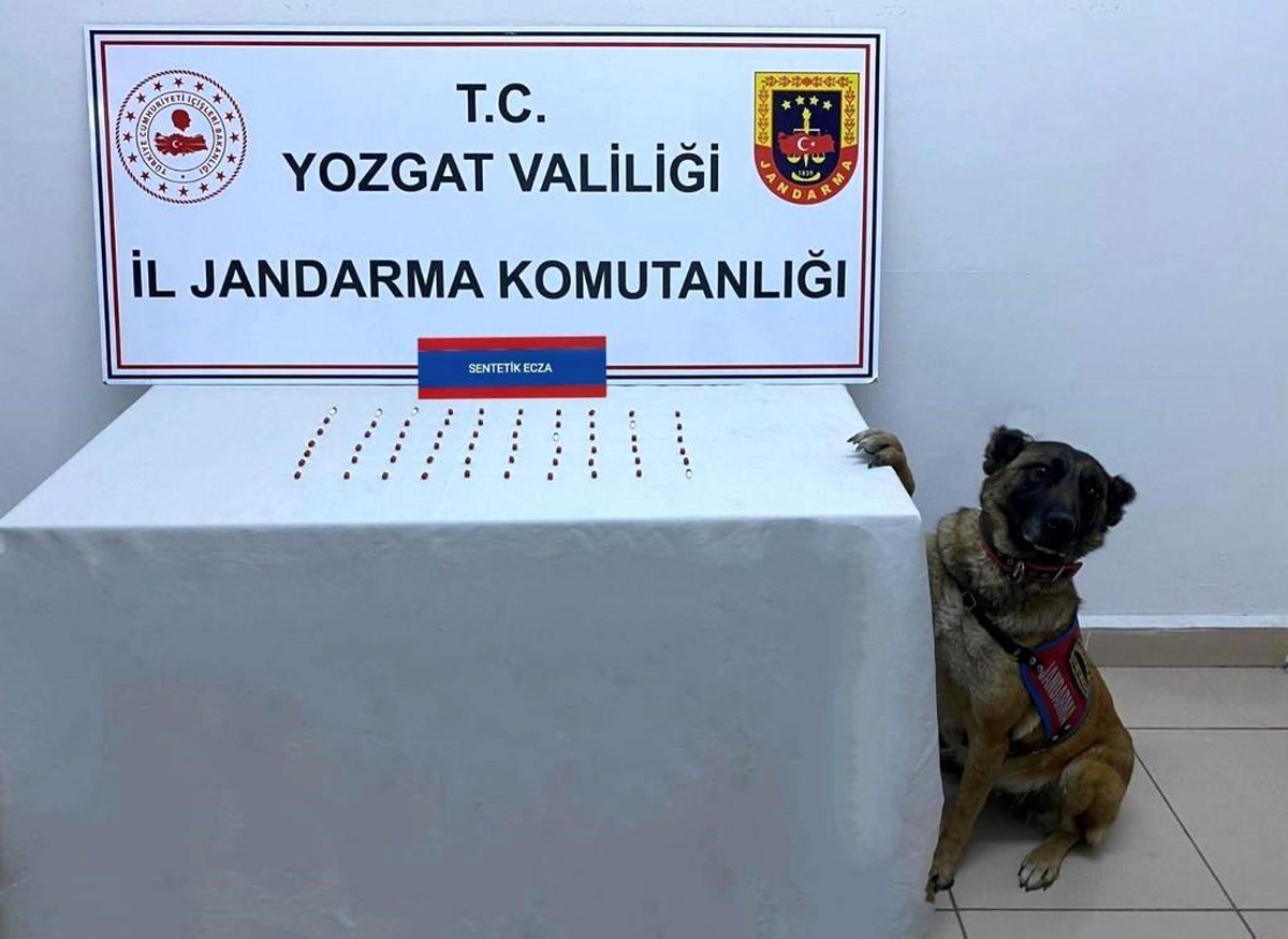 Yozgat İl Jandarma Komutanlığı\'ndan 61 adet sentetik hap ele geçirildi
