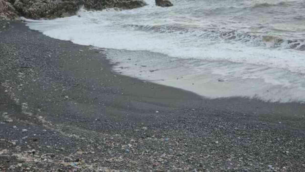 Zonguldak'ta plajda cinsel ilişki görüntülerine inceleme