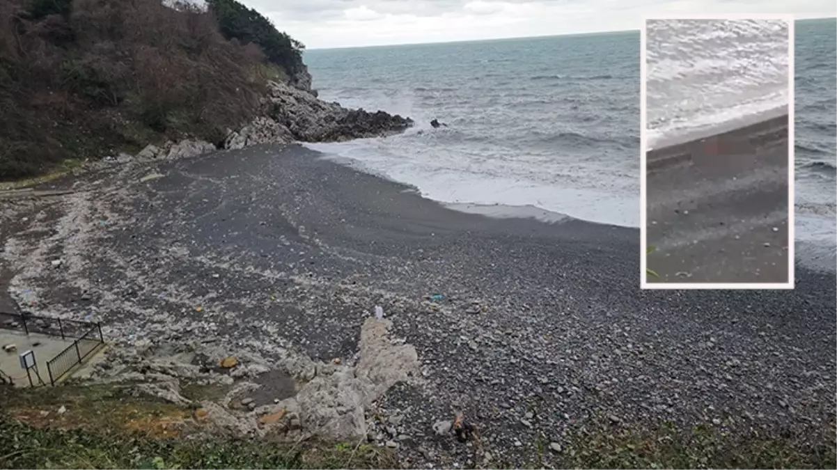 Yer: Zonguldak! Güpegündüz plajda cinsel ilişkiye girdiler