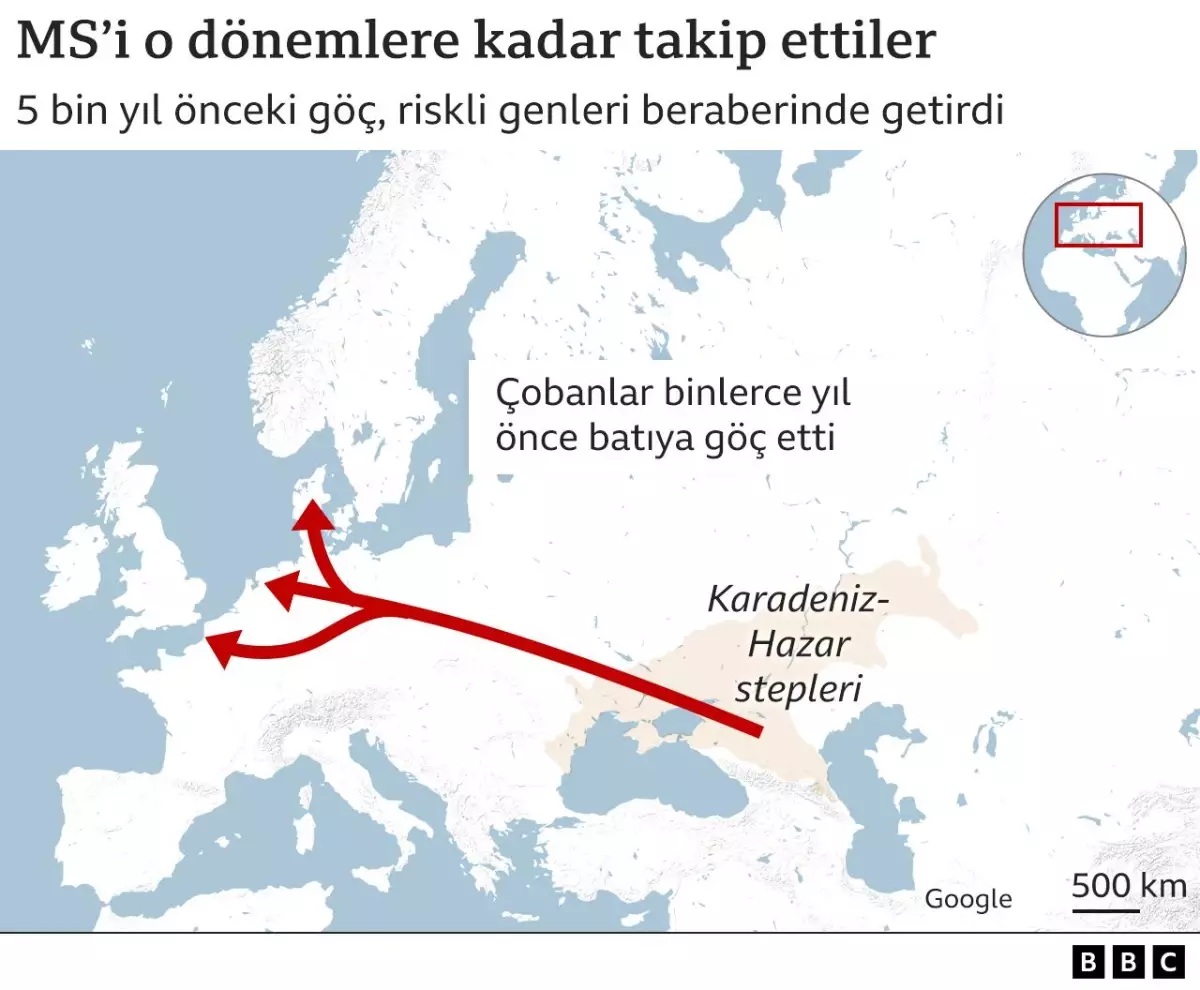 Avrupa\'da Hastalıkların Yaygınlığı ve Boy Uzunluğu Arasındaki İlişkiyi Açıklayan DNA Keşfi