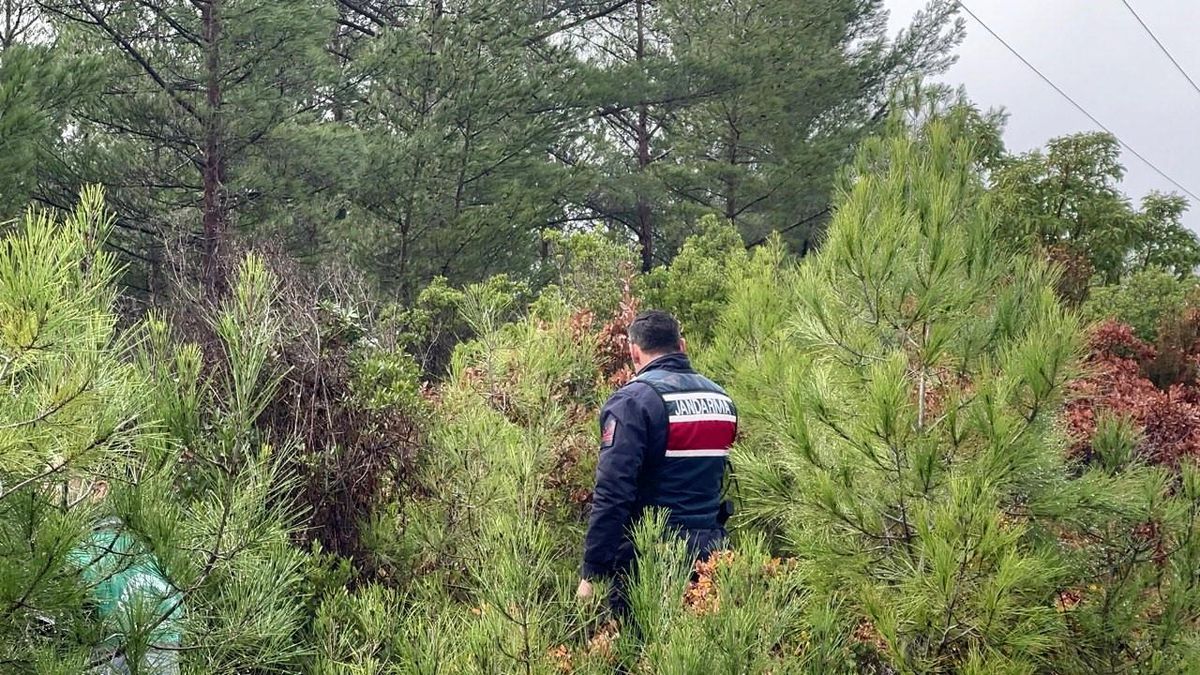 Marmaris\'te kaybolan İsa Çifçi için arama çalışmaları devam ediyor