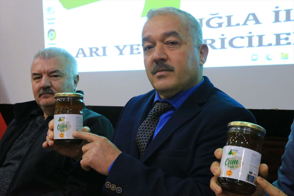 Muğla Arıcılar Birliği Başkanı: Sahte bal halk sağlığını tehdit edebilir