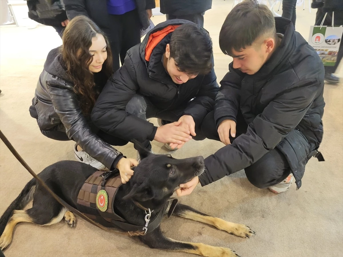 Orta Karadeniz Kariyer Fuarı\'nda narkotik dedektör köpeği Bogar tanıtıldı