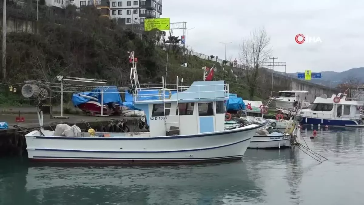 Olumsuz hava şartları sonrası avlanma azaldı, balık fiyatları ikiye katladı