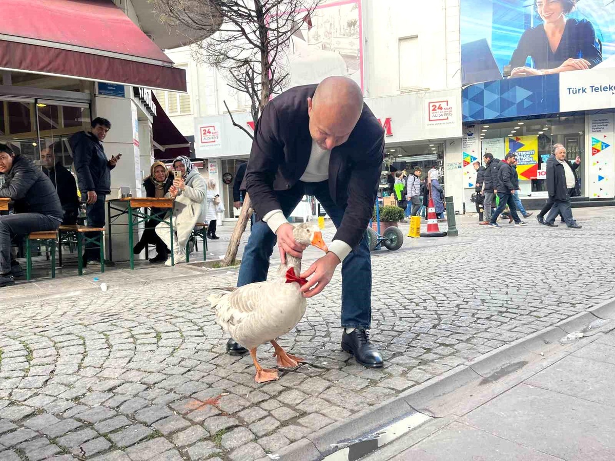 Eskişehir\'e Gelen Cango ile Çi Böreği Tadı
