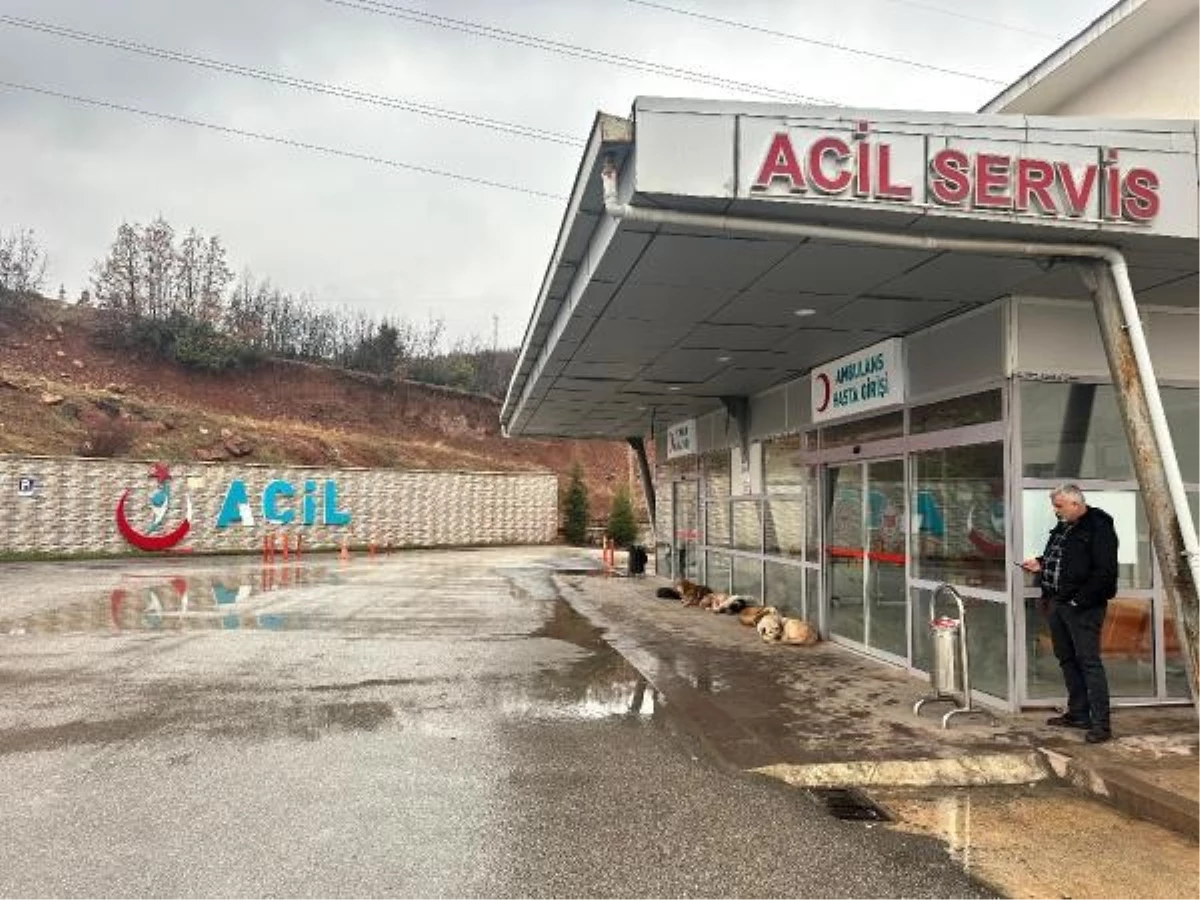 Tunceli\'de Temizlik İşçisi Çöp Kamyonunun Arkasından Düşerek Ağır Yaralandı