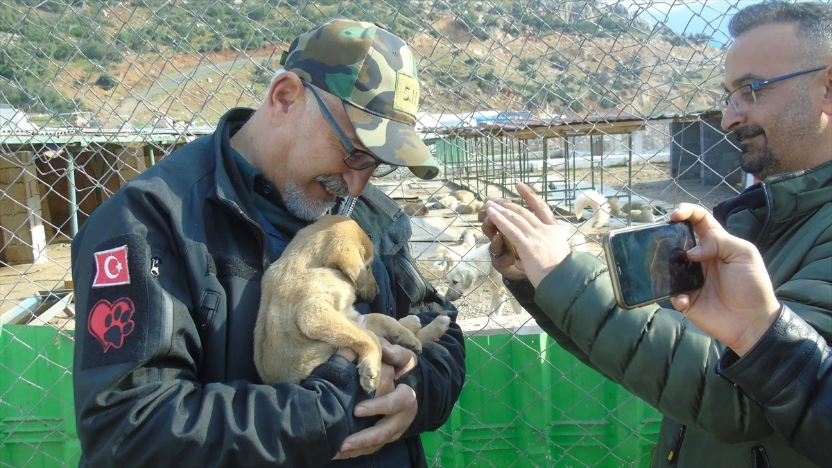 Gaziantep İslahiye\'deki sahipsiz hayvan barınağında 1000 hayvan sahiplendirildi