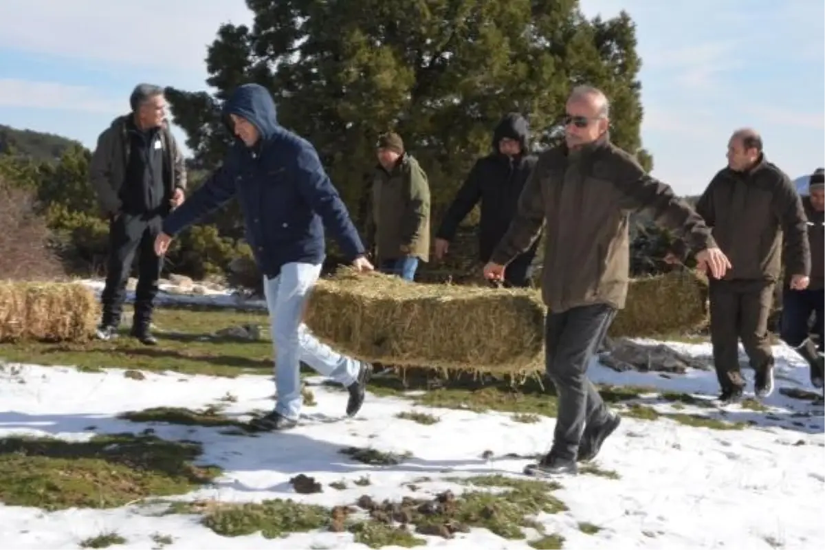 Spil Dağı Milli Parkı\'nda Yaban Hayvanlarına Yemleme Çalışması Yapıldı