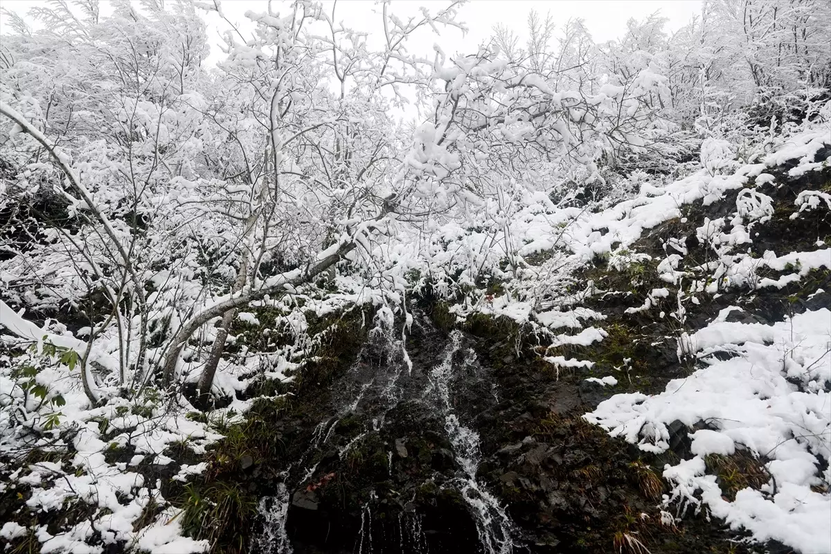 Sakarya\'da Çam Dağı karla kaplandı