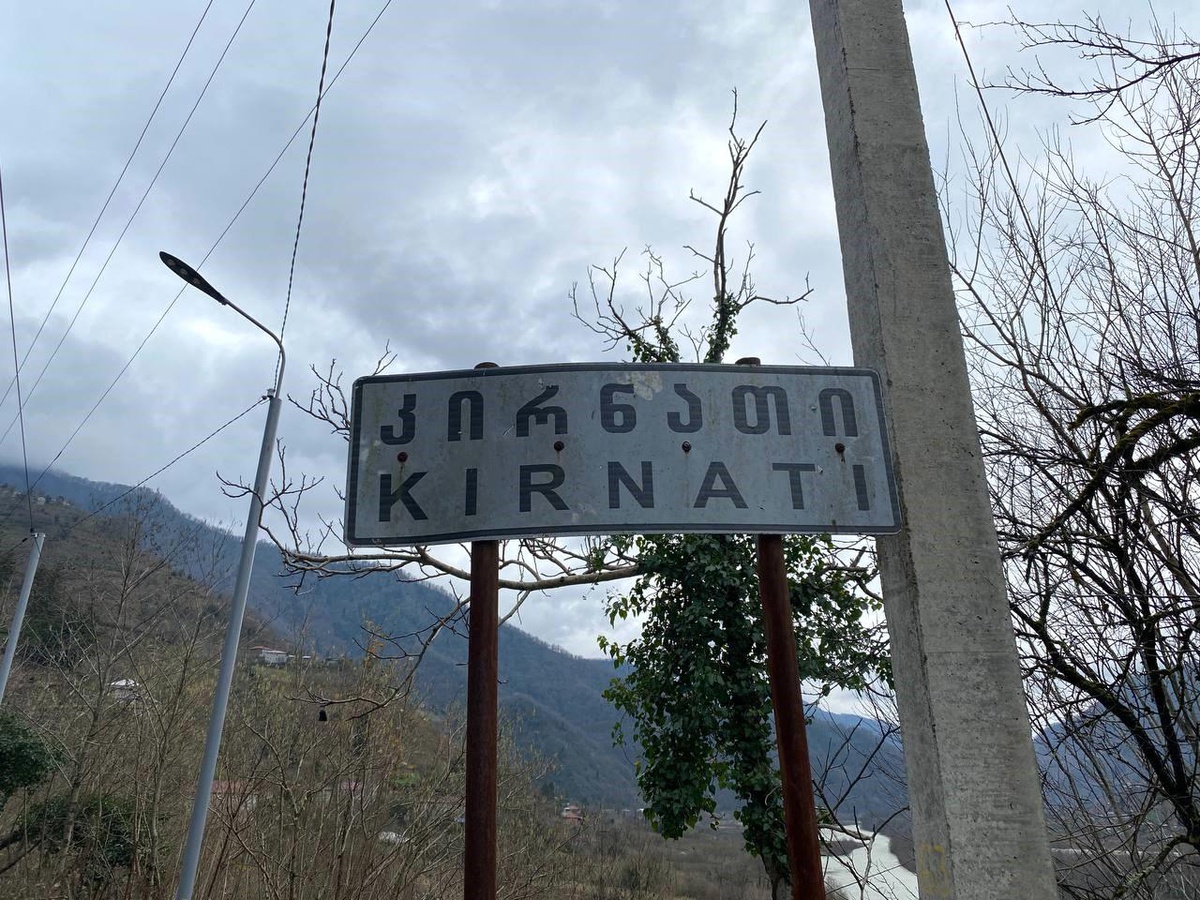 Gürcü köyünde sınırı geçen ineğin sahibi aranıyor