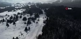 Uludağ'da kayak sezonu resmen açıldı, vatandaşlar doyasıya eğlendi