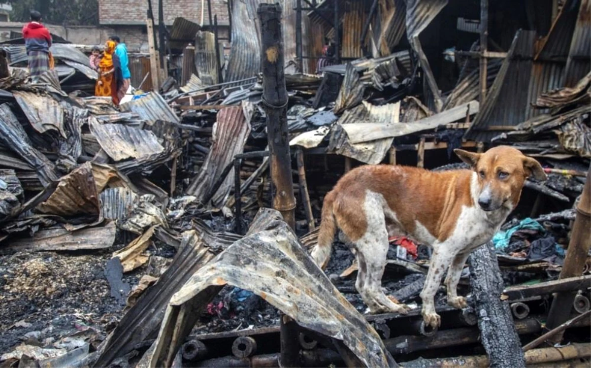 Dakka\'da çıkan yangında 2 kişi hayatını kaybetti, 300 ev küle döndü