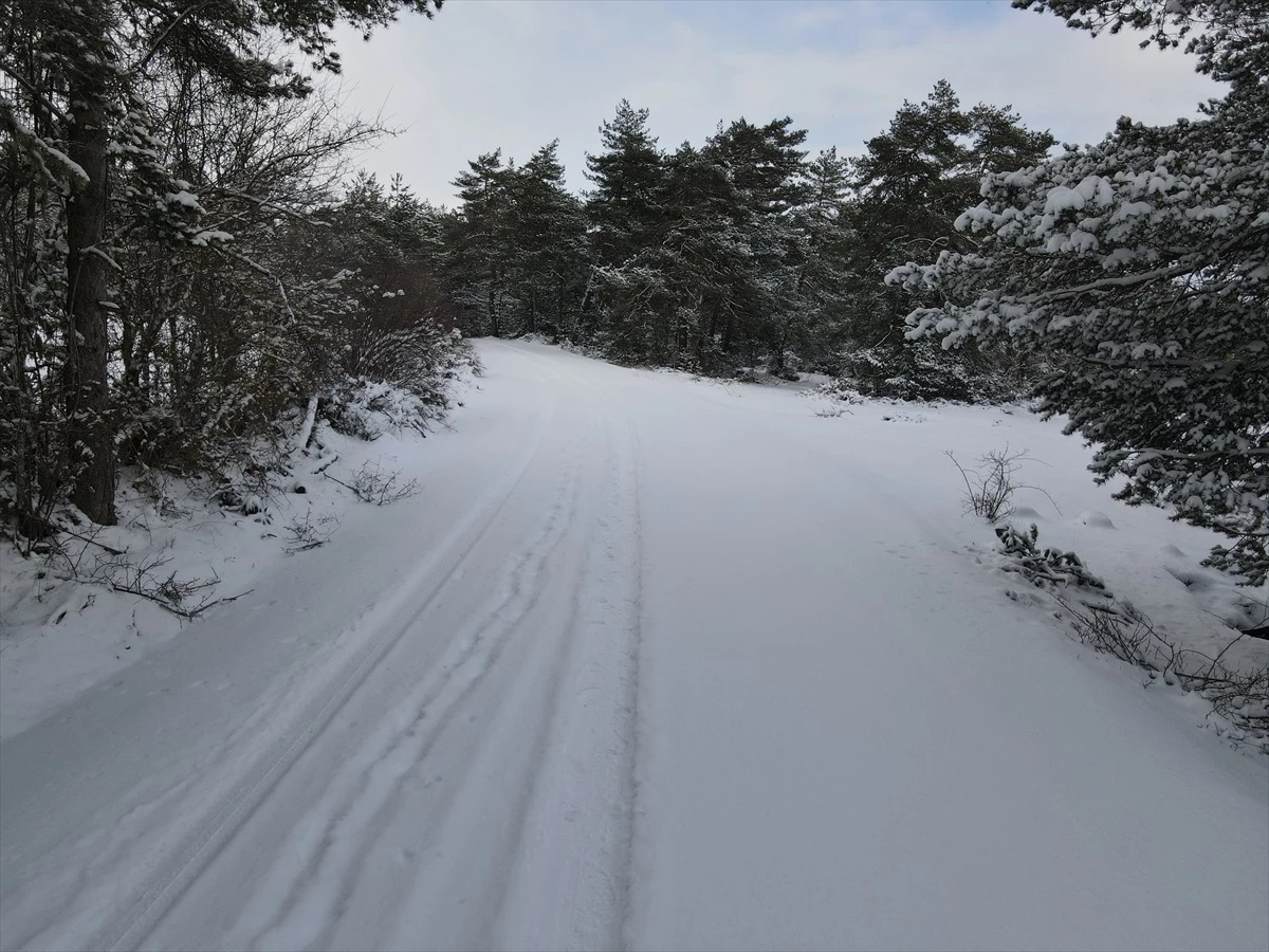 Kastamonu\'nun yüksek rakımlı bölgelerinde kar yağışı etkili