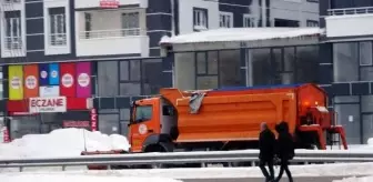 Van ve Bitlis'te Kar Yağışı: 900 Yerleşim Yerinin Yolu Ulaşıma Kapandı
